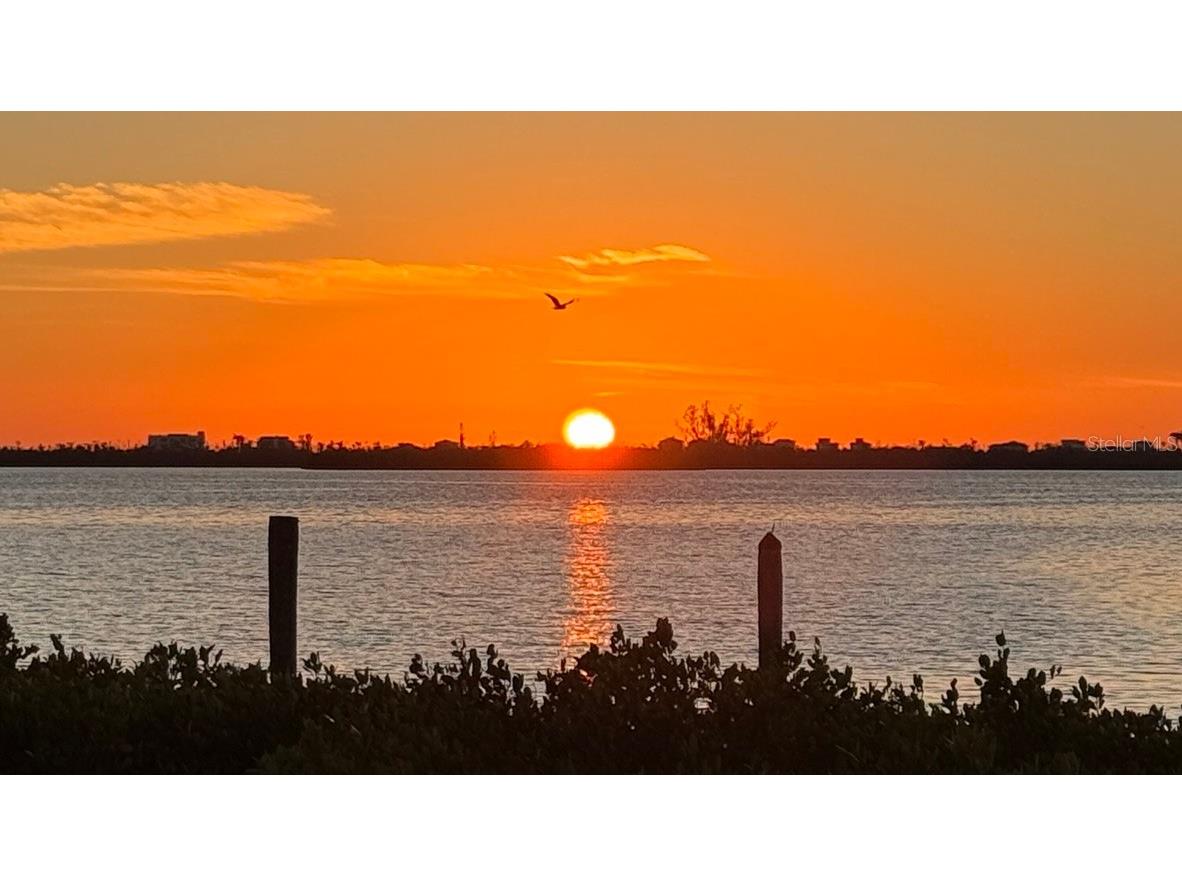 2424 Placida Road #C101 Englewood FL 34224 - LEMON BAY AQUATIC PRESERVE D6146323 image46