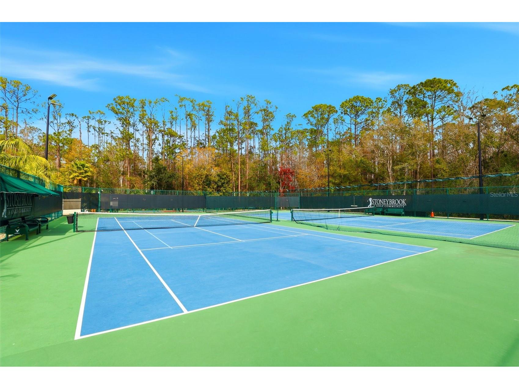 2424 Stone Cross Circle Orlando FL 32828 O6376588 image48