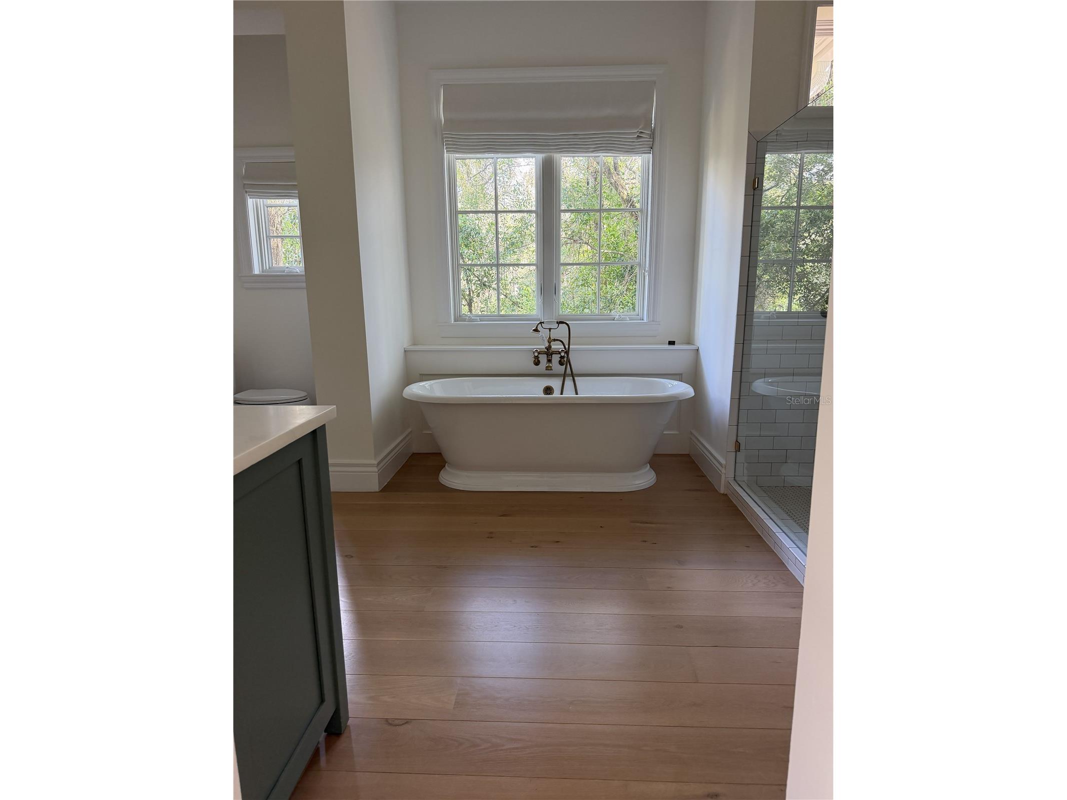 2424 Summerwood Court Dunedin FL 34698 TB8494815 image8