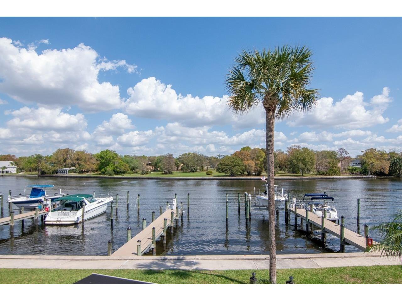 2424 W Tampa Bay Boulevard #C105 Tampa FL 33607 - HILLSBOROUGH RIVER TB8486557 image47