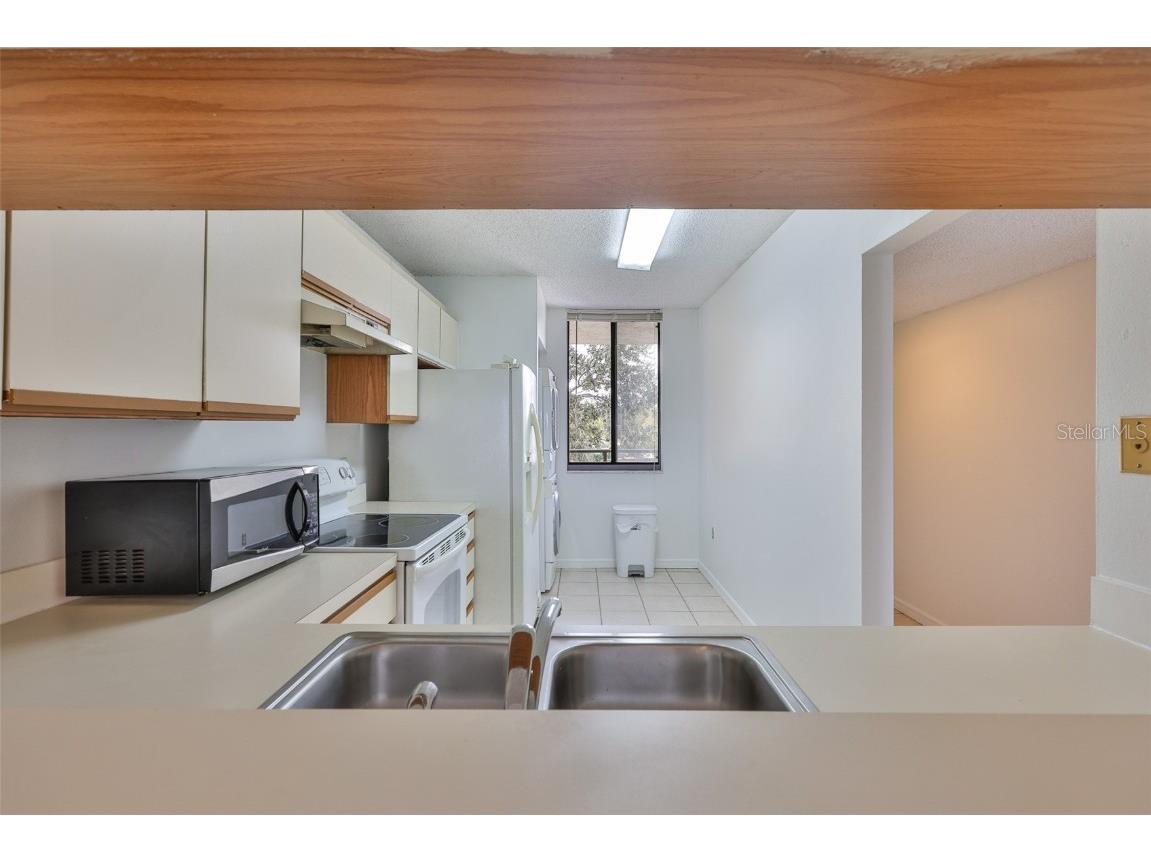 2424 W Tampa Bay Boulevard #M301 Tampa FL 33607 - HILLSBOROUGH RIVER TB8418715 image6