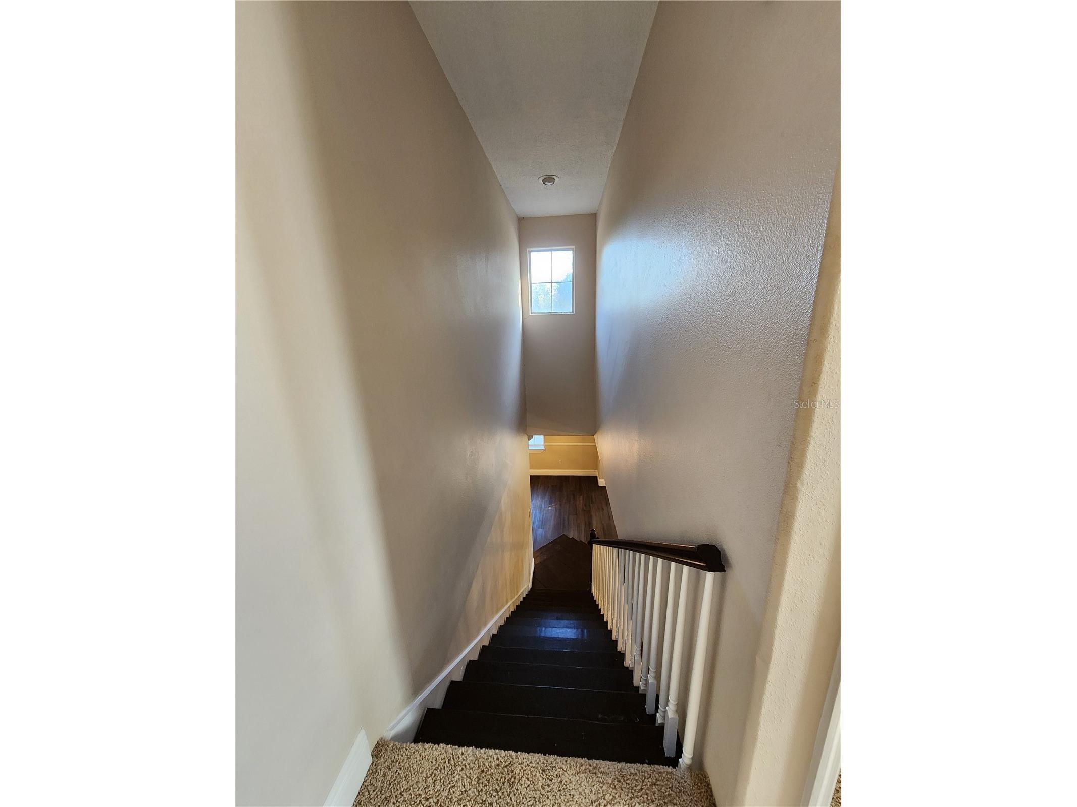 24247 Wolf Branch Road Sorrento FL 32776 O6356909 image30