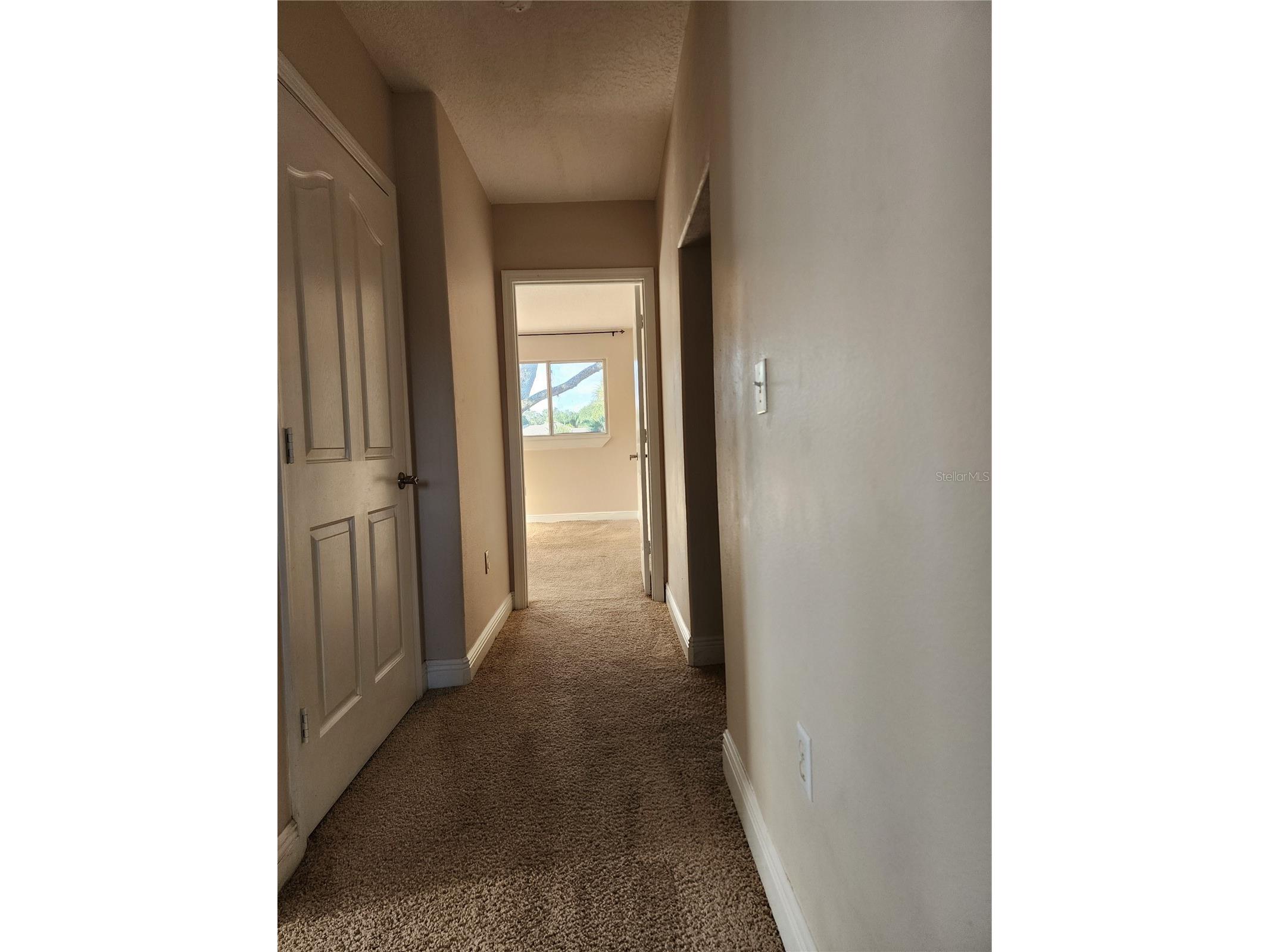 24247 Wolf Branch Road Sorrento FL 32776 O6356909 image31