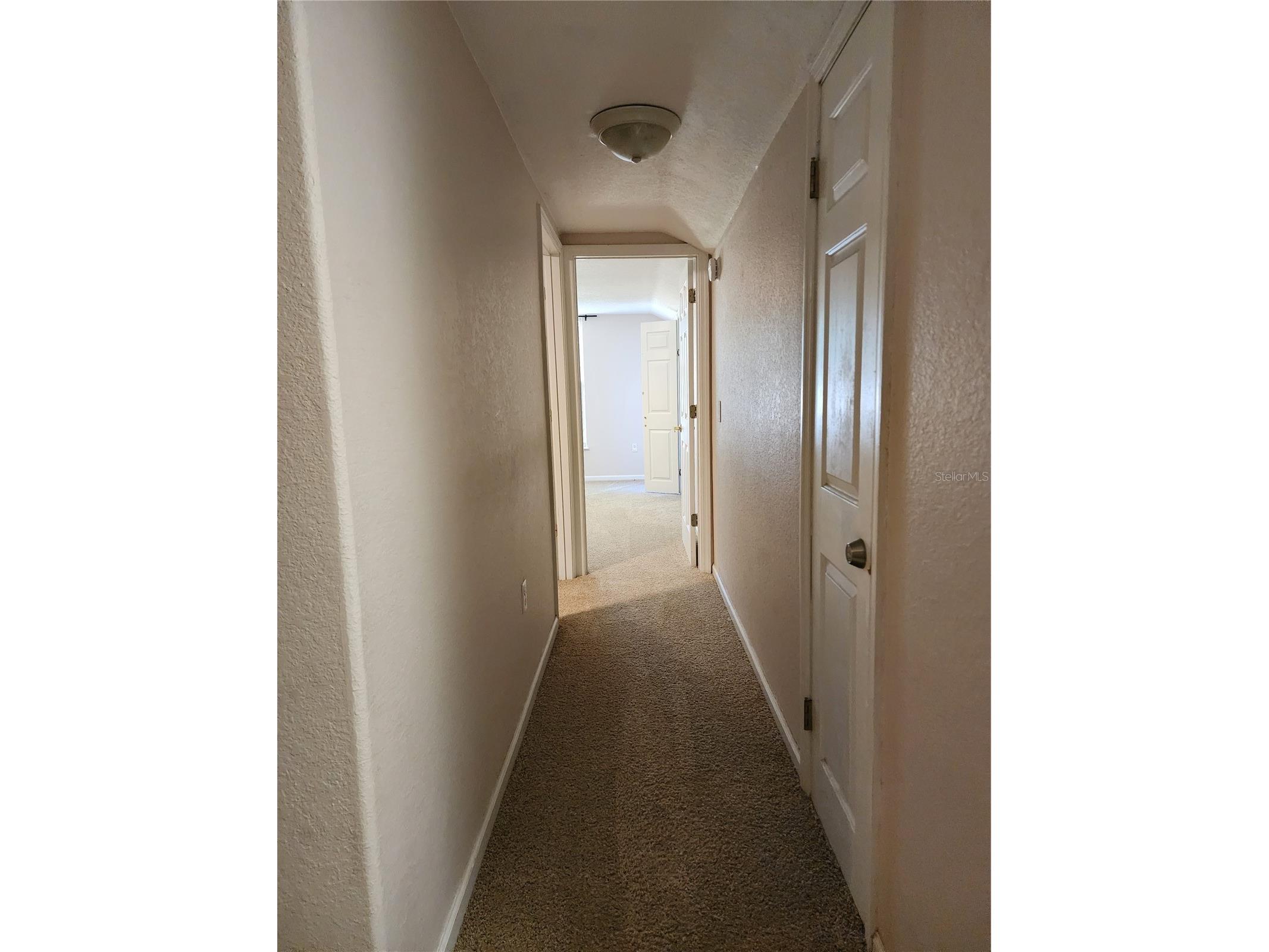 24247 Wolf Branch Road Sorrento FL 32776 O6356909 image38