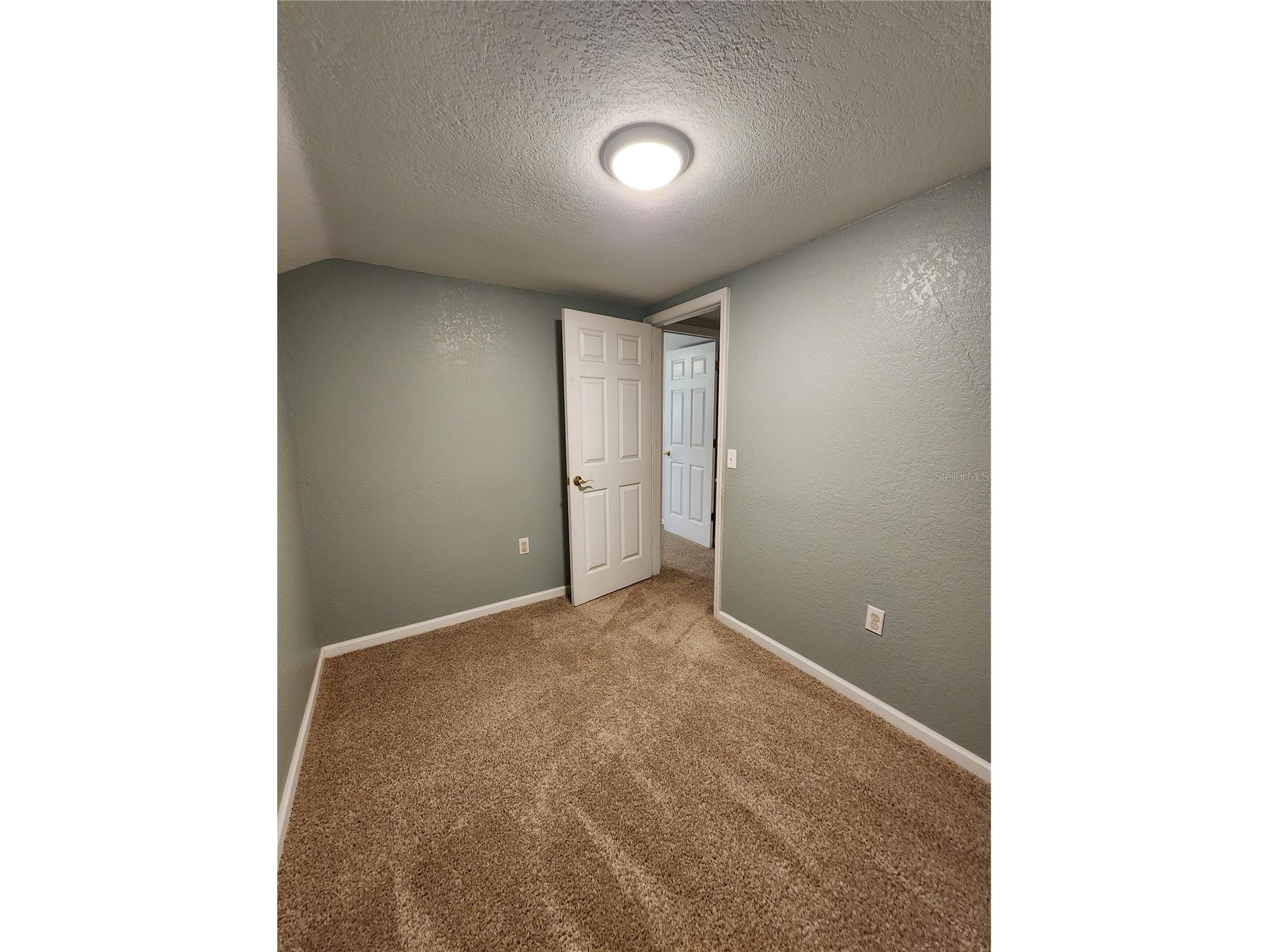 24247 Wolf Branch Road Sorrento FL 32776 O6356909 image40