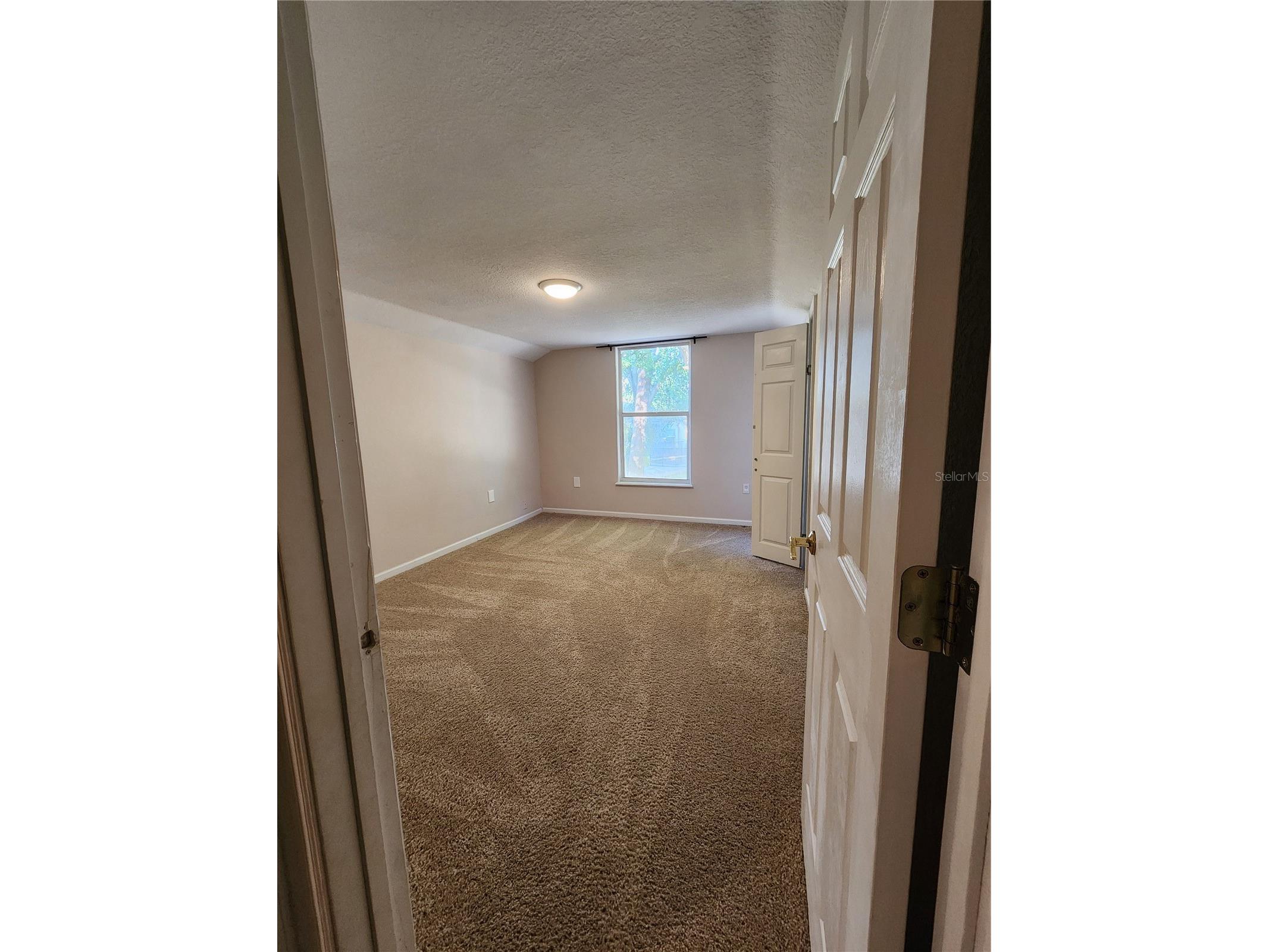 24247 Wolf Branch Road Sorrento FL 32776 O6356909 image41
