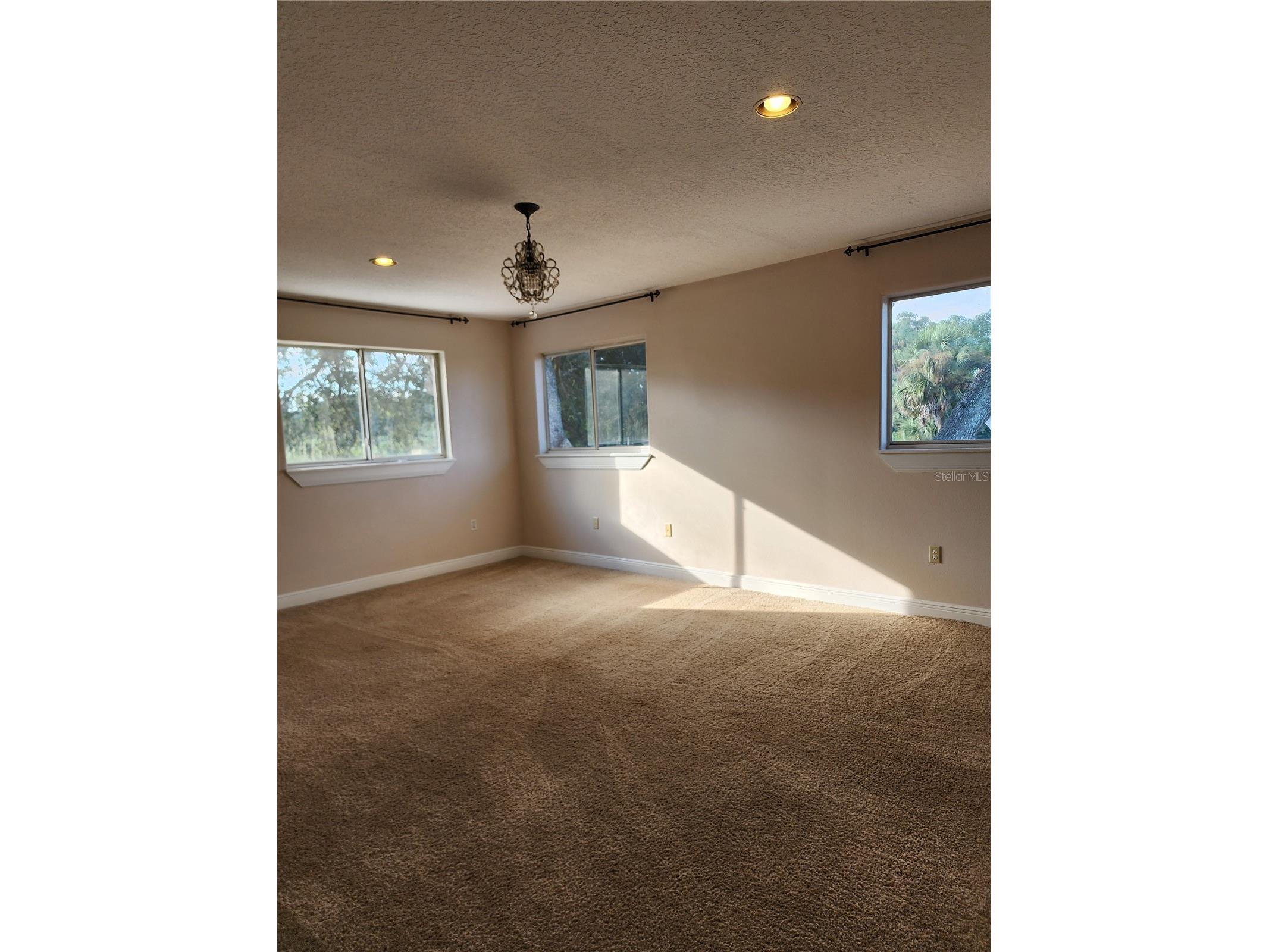 24247 Wolf Branch Road Sorrento FL 32776 O6356909 image45
