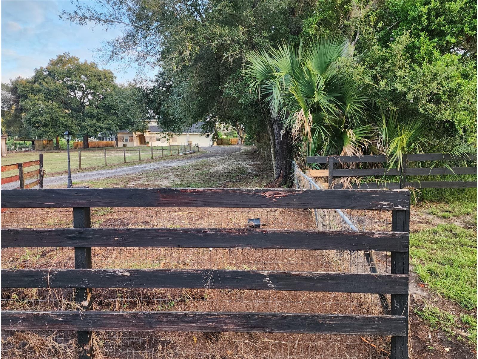 24247 Wolf Branch Road Sorrento FL 32776 O6356909 image67