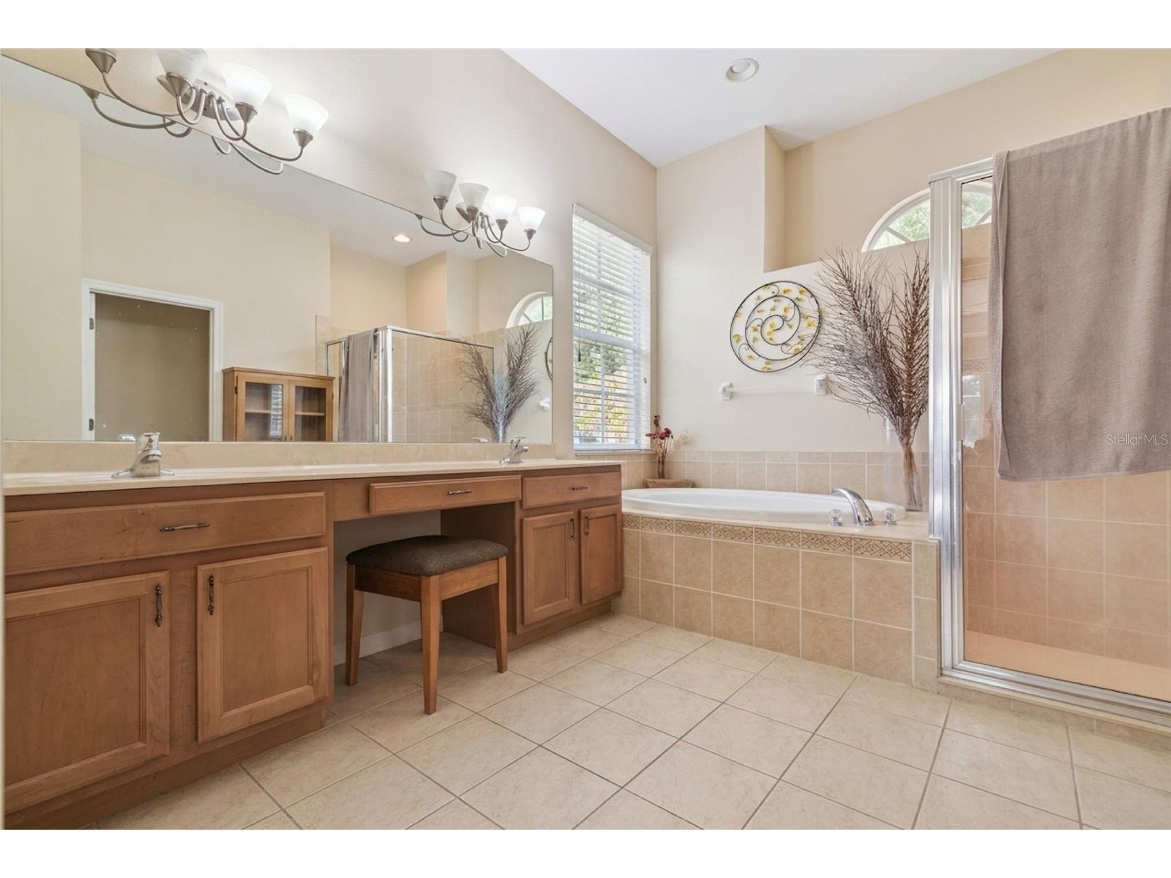 2425 Blue Stone Court Valrico FL 33594 O6397937 image6