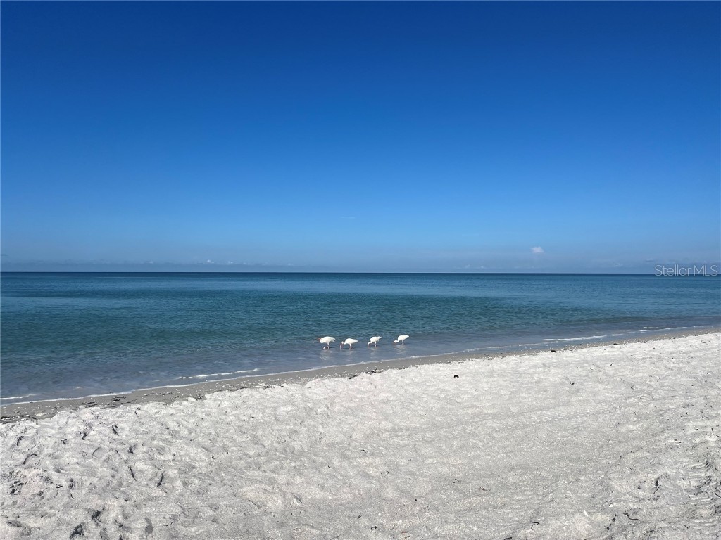 2425 Gulf Of Mexico Drive #11F Longboat Key FL 34228 A4663629 image31