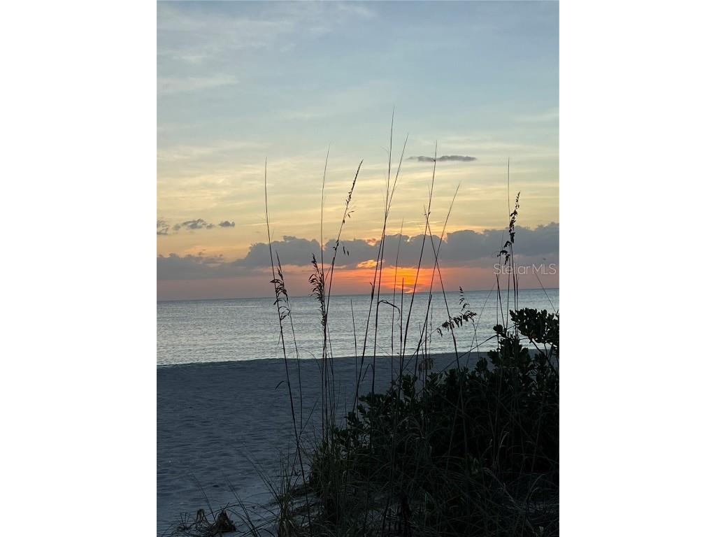 2425 Gulf Of Mexico Drive #11F Longboat Key FL 34228 A4663629 image32