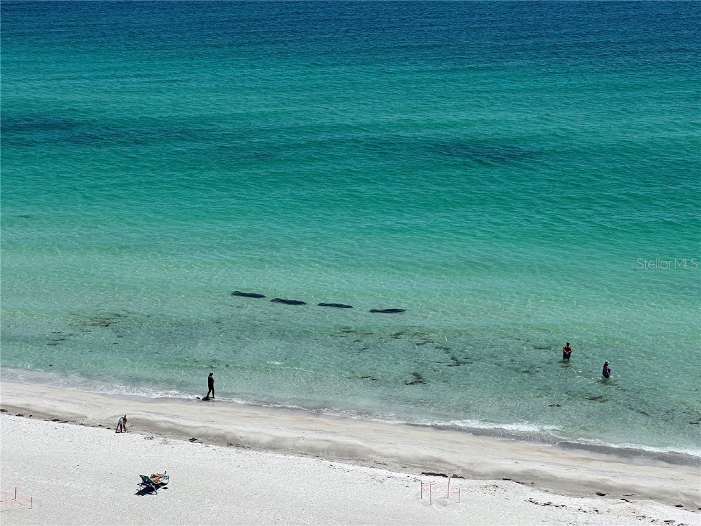 2425 Gulf Of Mexico Drive #11F Longboat Key FL 34228 A4663629 image34