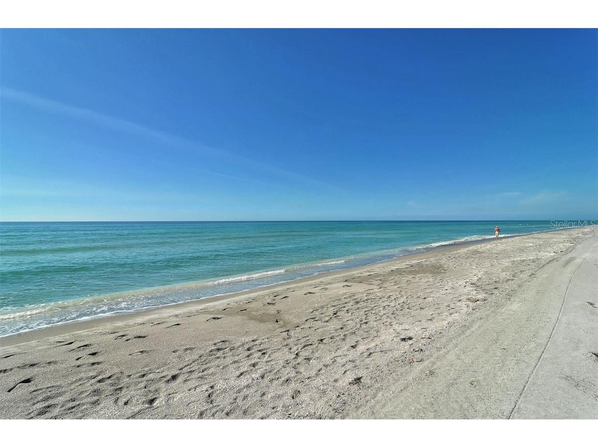 2425 Gulf Of Mexico Drive #1E Longboat Key FL 34228 A4672789 image50