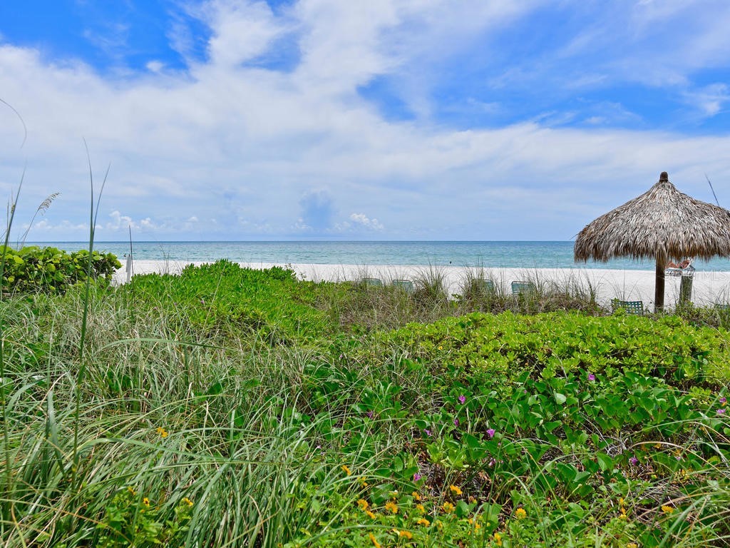 2425 Gulf Of Mexico Drive #7F Longboat Key FL 34228 A4621809 image44