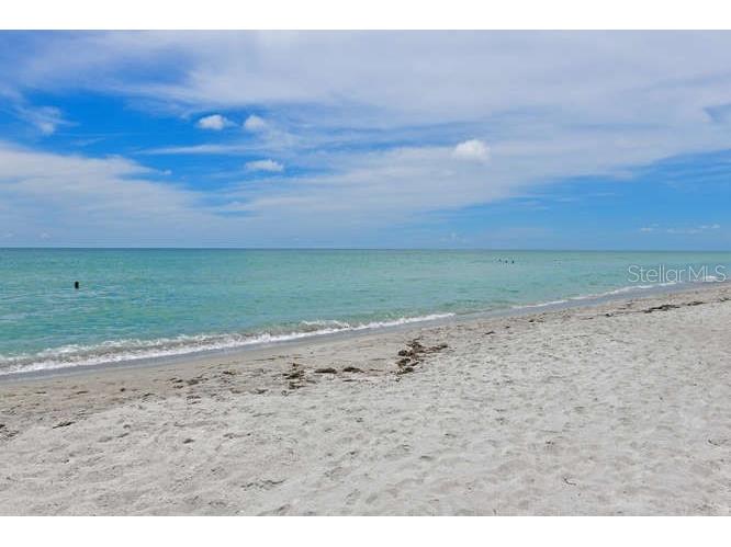 2425 Gulf Of Mexico Drive #7F Longboat Key FL 34228 A4621809 image5