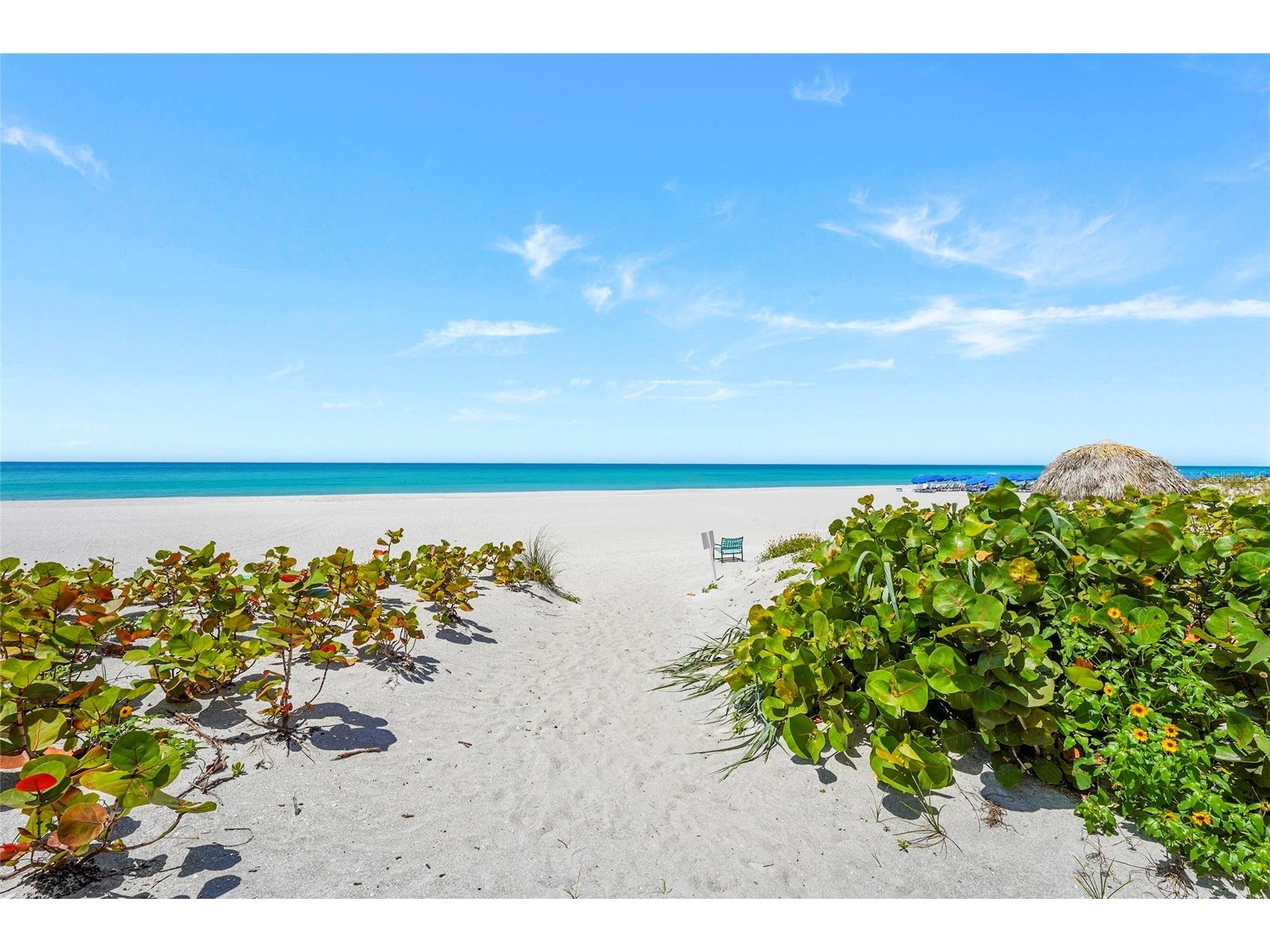2425 Gulf Of Mexico Drive #8C Longboat Key FL 34228 A4688797 image15