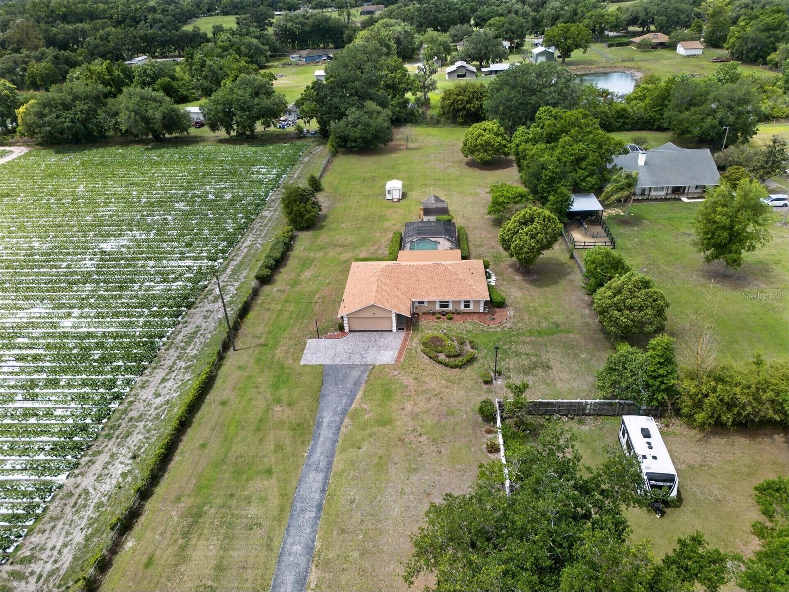 2425 Hawk Griffin Road Plant City FL 33565 O6398587 image44