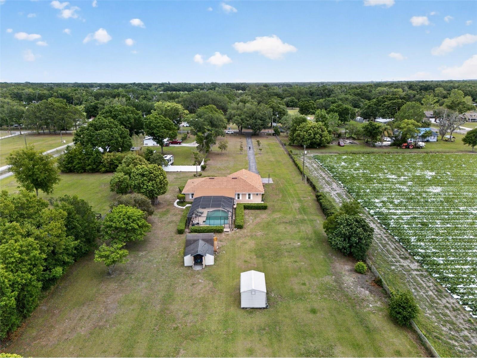 2425 Hawk Griffin Road Plant City FL 33565 O6398587 image45