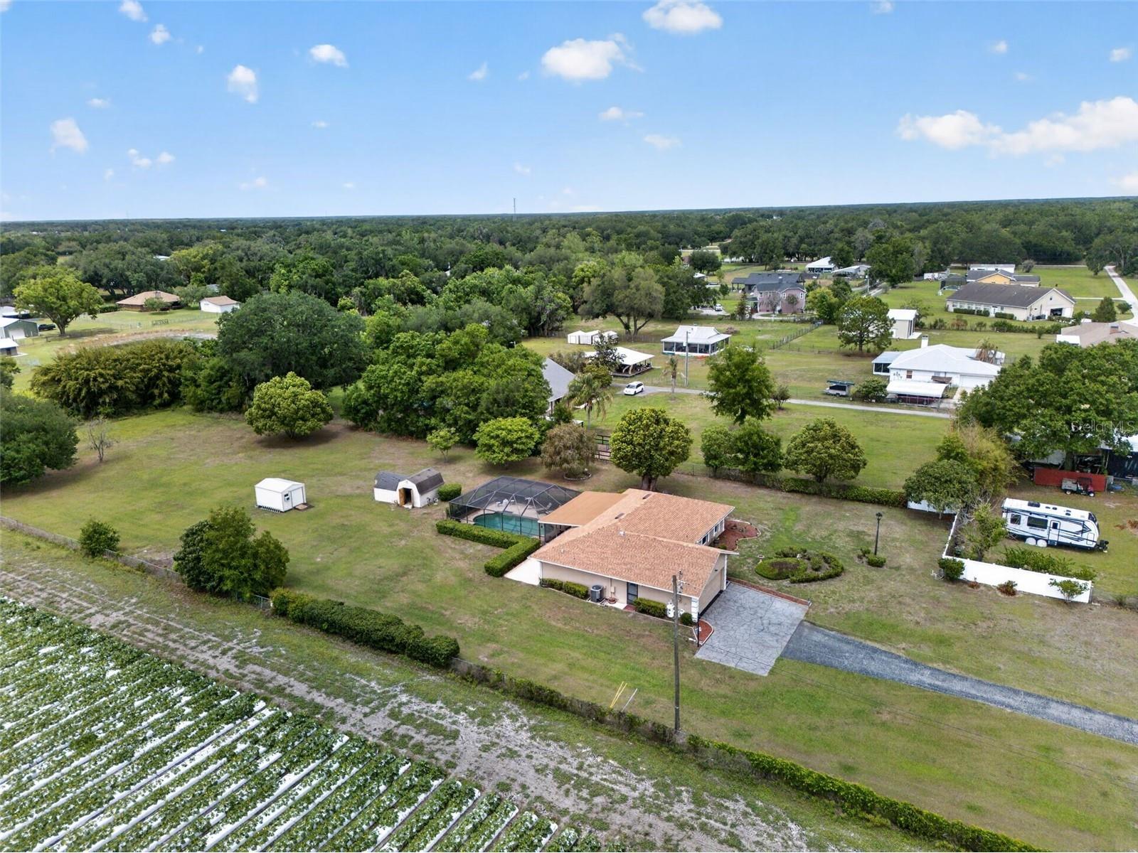 2425 Hawk Griffin Road Plant City FL 33565 O6398587 image47