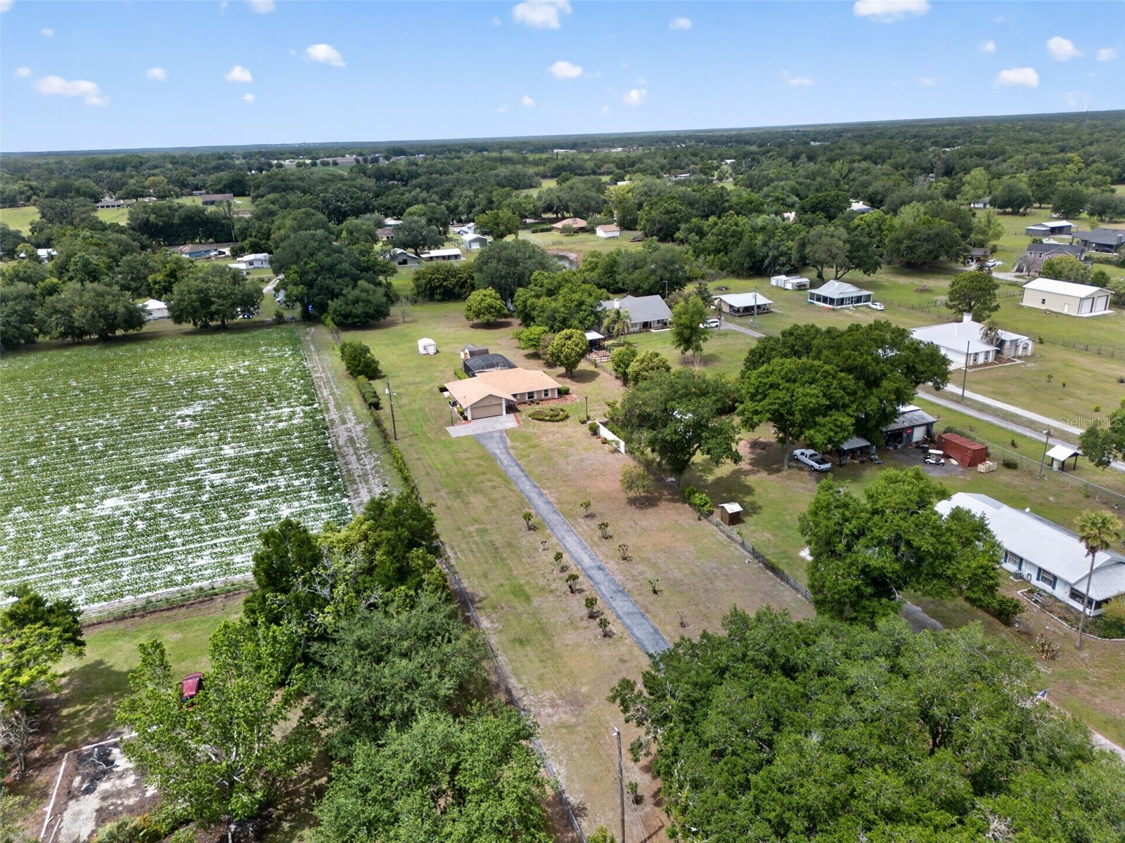 2425 Hawk Griffin Road Plant City FL 33565 O6398587 image48