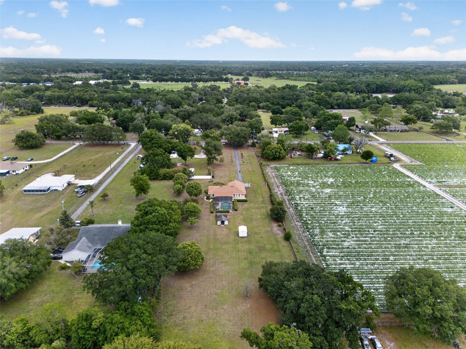 2425 Hawk Griffin Road Plant City FL 33565 O6398587 image49