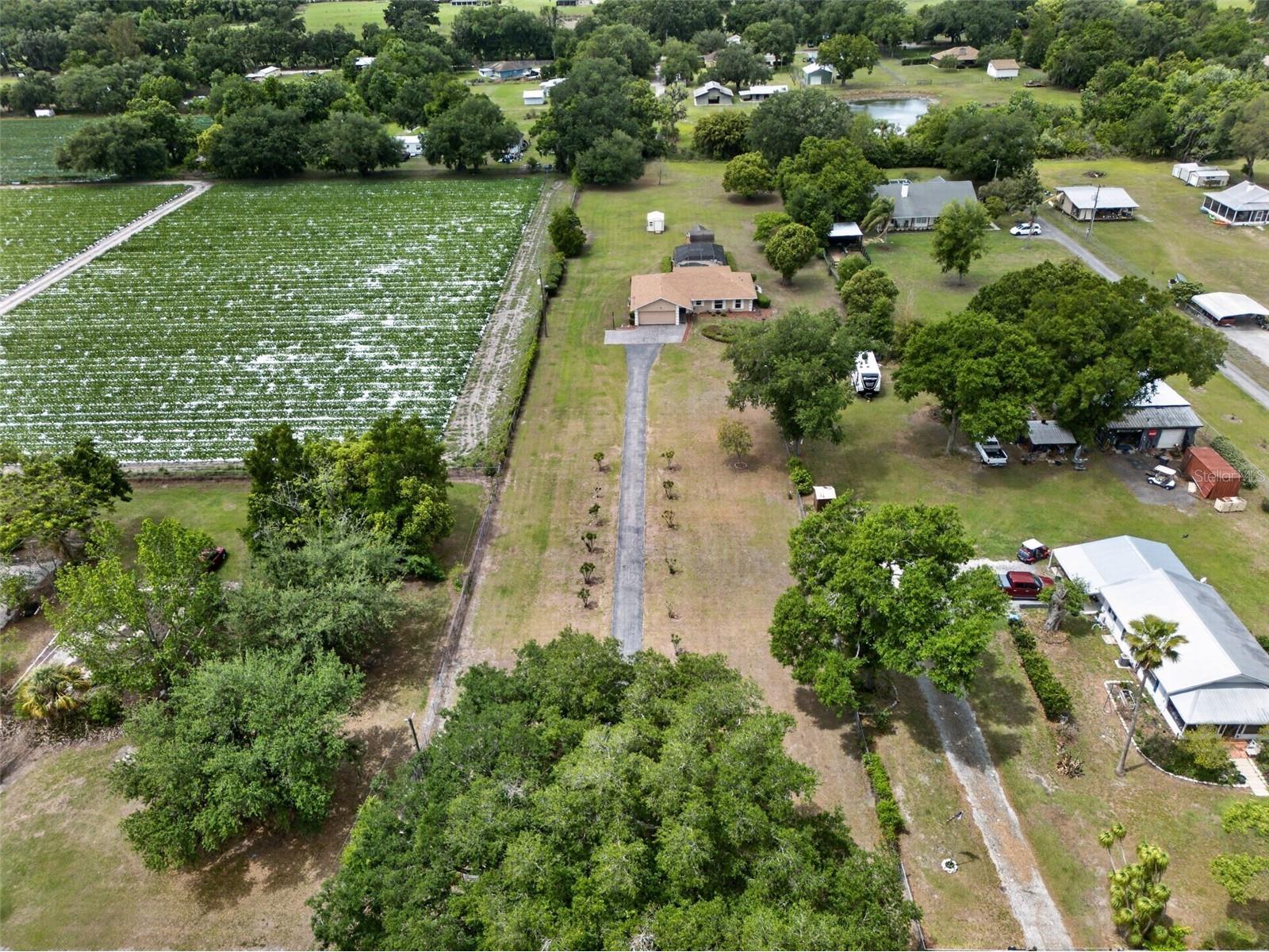 2425 Hawk Griffin Road Plant City FL 33565 O6398587 image5