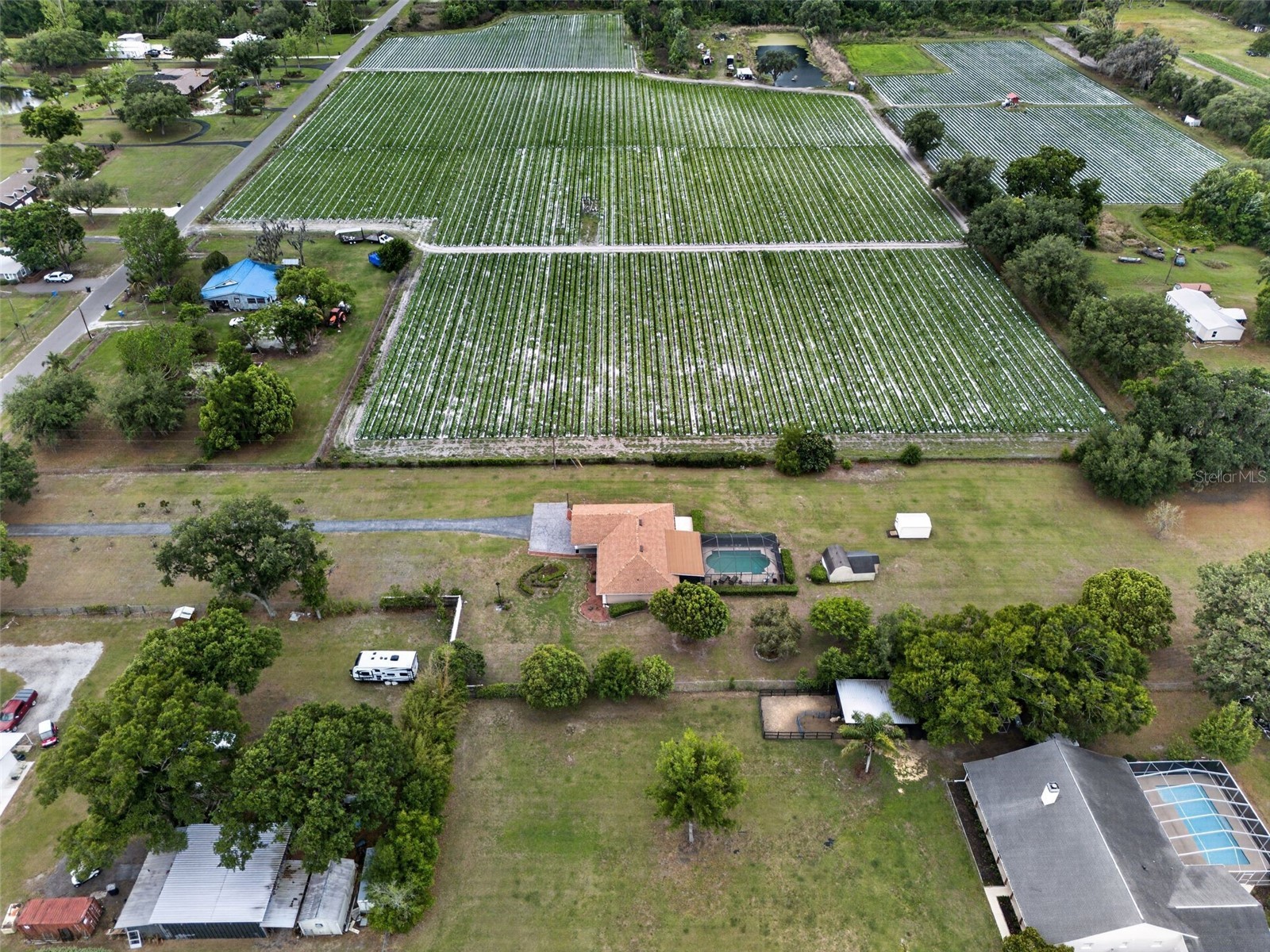 2425 Hawk Griffin Road Plant City FL 33565 O6398587 image50