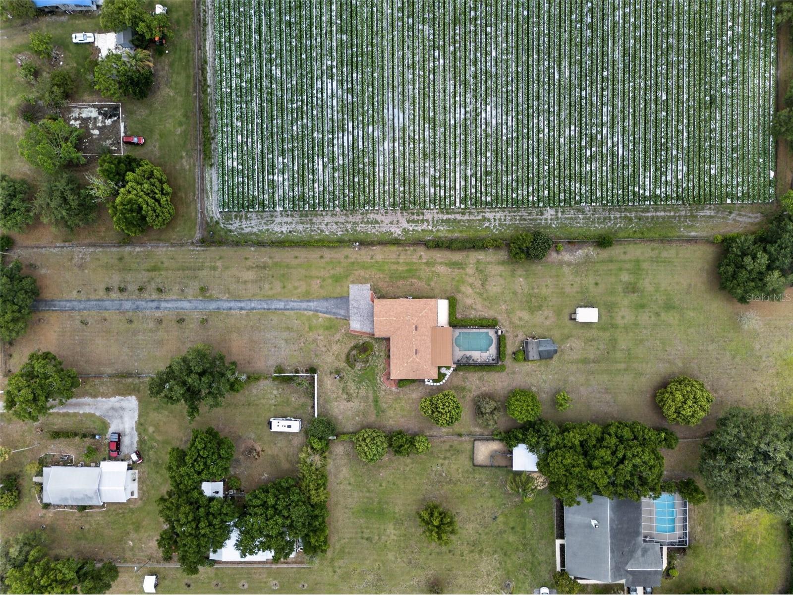 2425 Hawk Griffin Road Plant City FL 33565 O6398587 image51