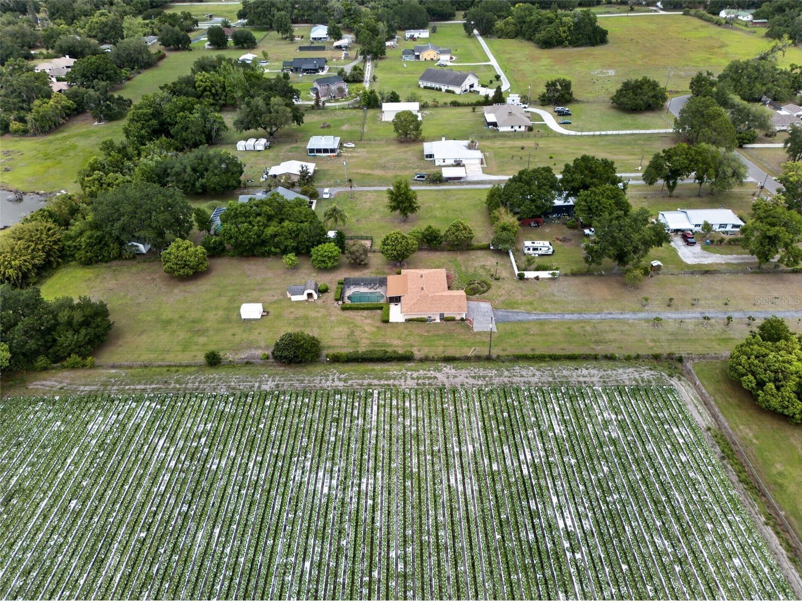 2425 Hawk Griffin Road Plant City FL 33565 O6398587 image52
