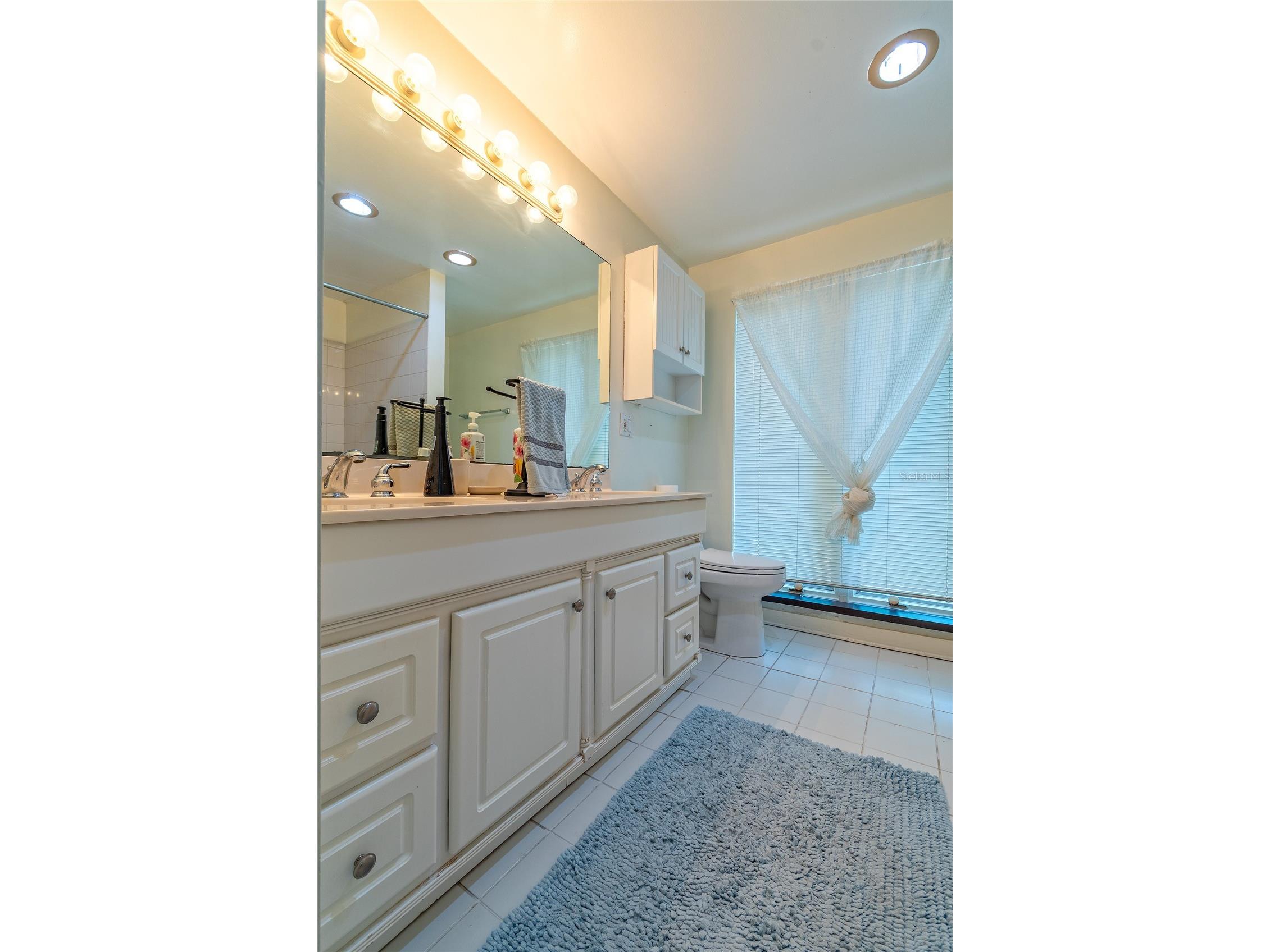 2425 Lake Sue Drive Orlando FL 32803 O6425047 image18