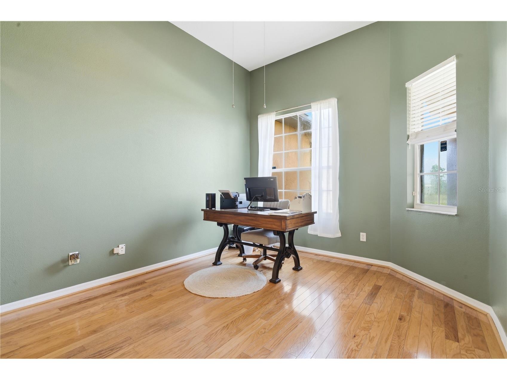2425 Maracaibo Drive Kissimmee FL 34746 S5149767 image49