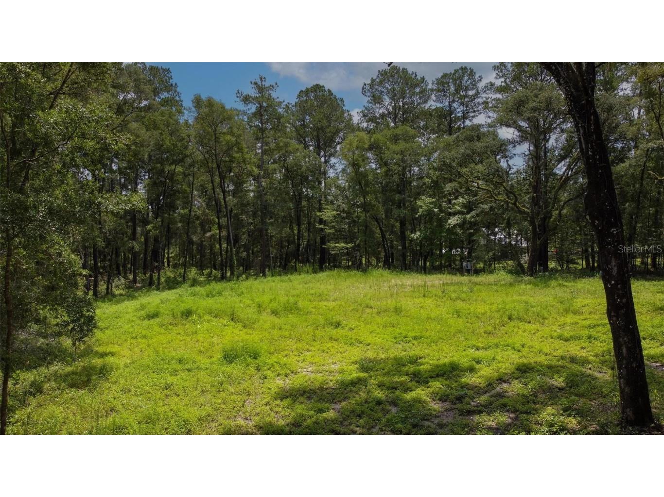 2425 NW 162nd Street Newberry FL 32669 GC514563 image1