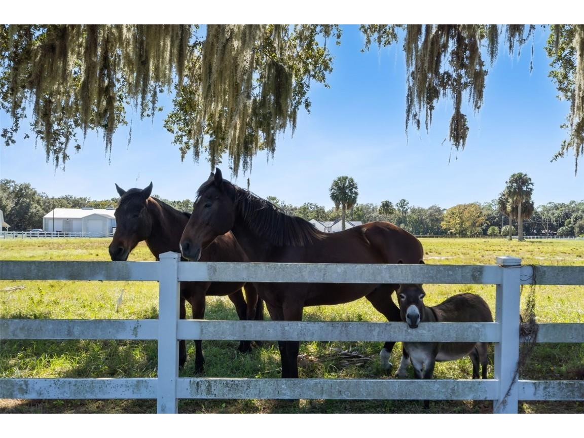 2425 Pine Way Sanford FL 32773 O6356097 image22