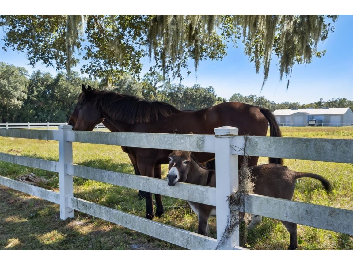 2425 Pine Way Sanford FL 32773 O6356097 image23