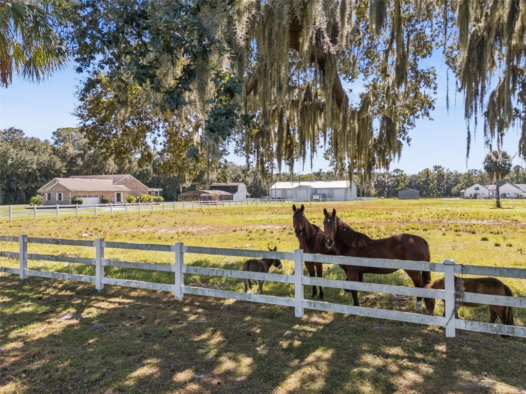 2425 Pine Way Sanford FL 32773 O6356097 image24