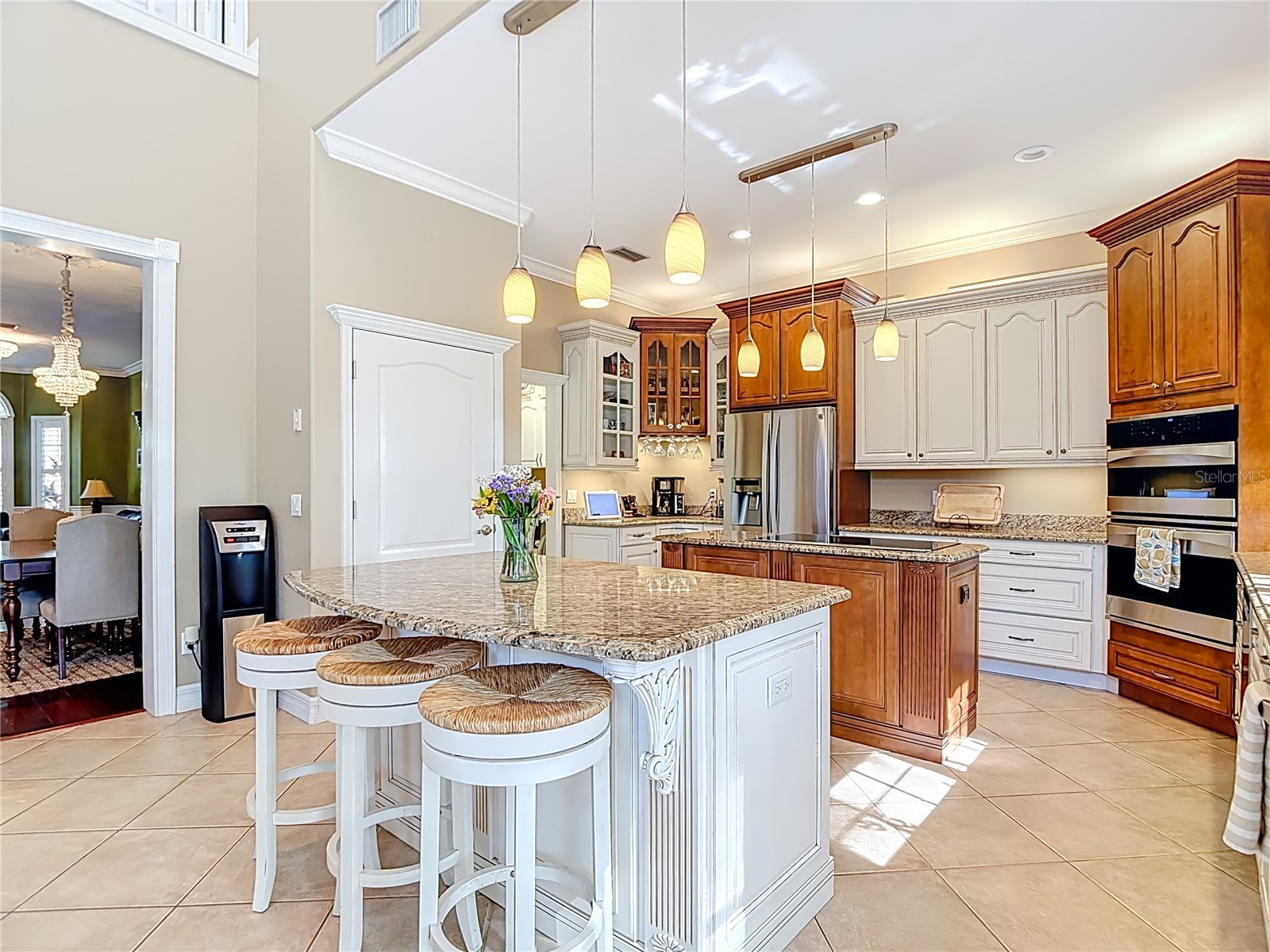 2425 Valrico Forest Drive Valrico FL 33594 TB8498360 image25