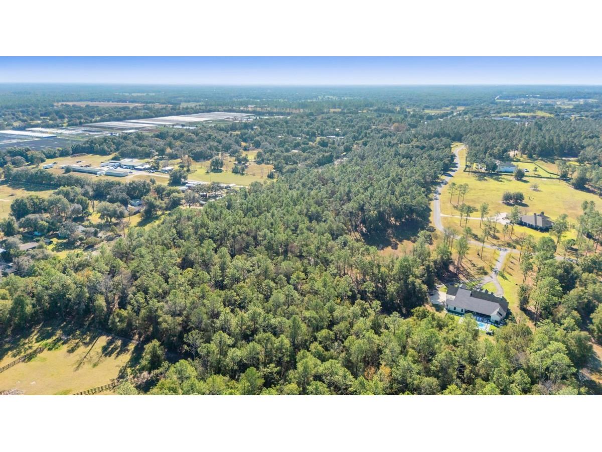 24250 Deep Springs Loop Eustis FL 32736 O6409397 image10