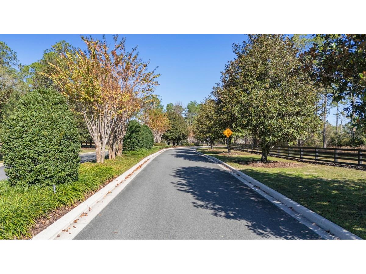 24250 Deep Springs Loop Eustis FL 32736 O6409397 image7