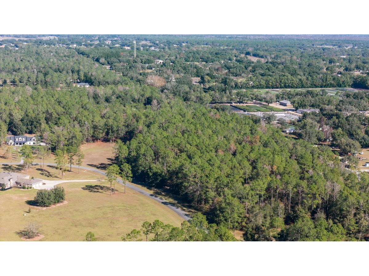 24250 Deep Springs Loop Eustis FL 32736 O6409397 image8