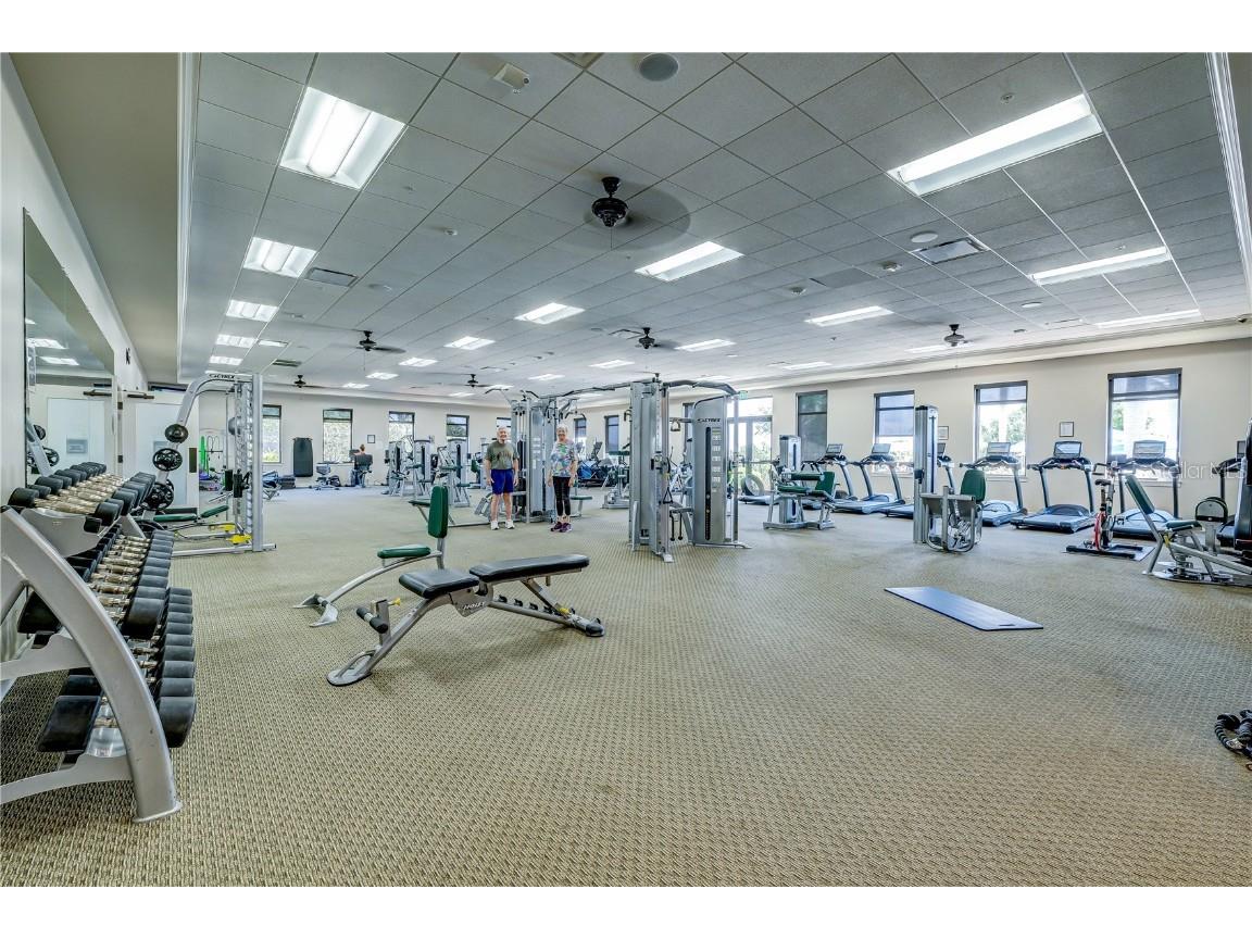 24252 Gallberry Drive Venice FL 34293 A4670684 image70