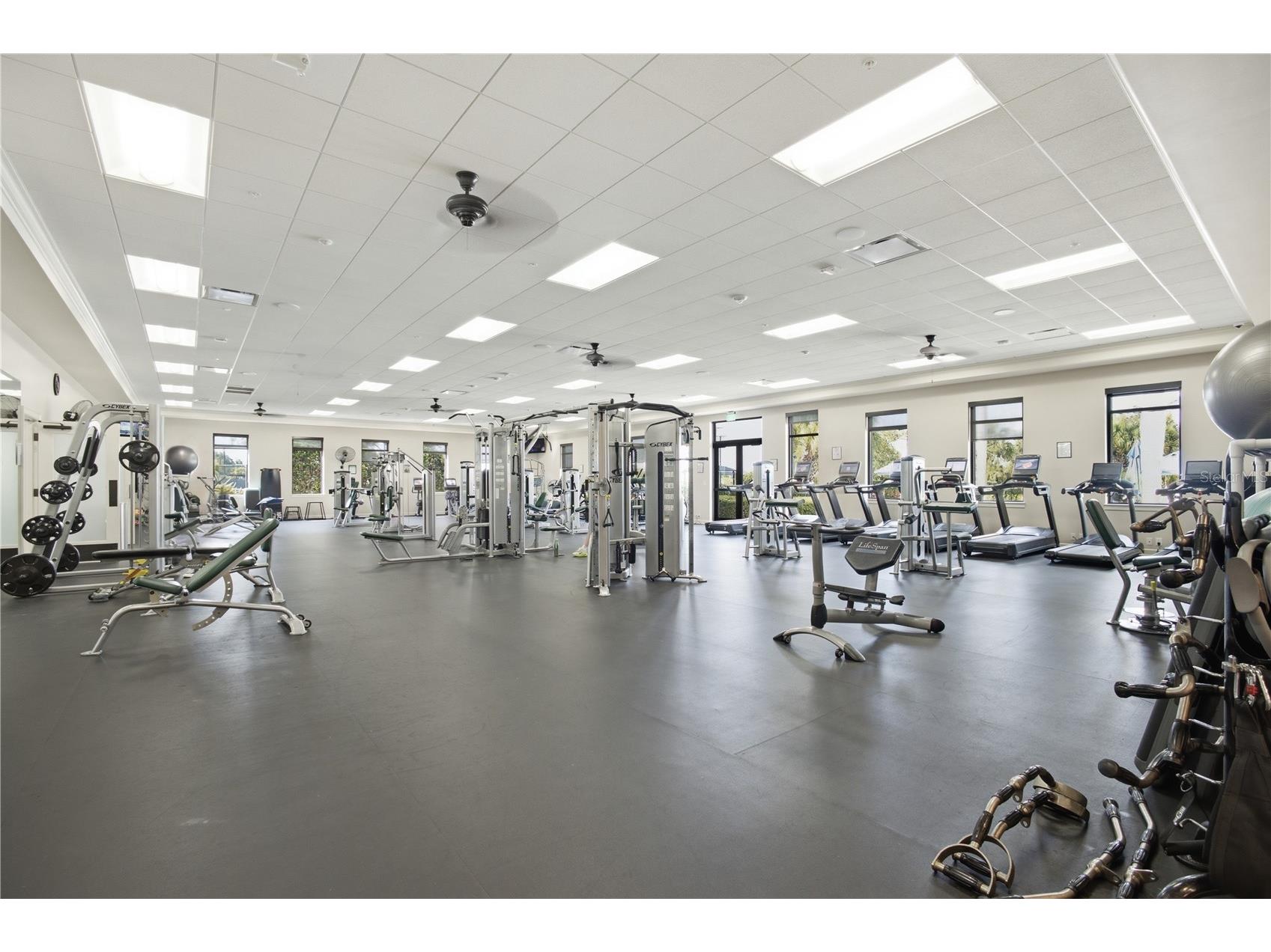 24252 Gallberry Drive Venice FL 34293 N6144907 image67