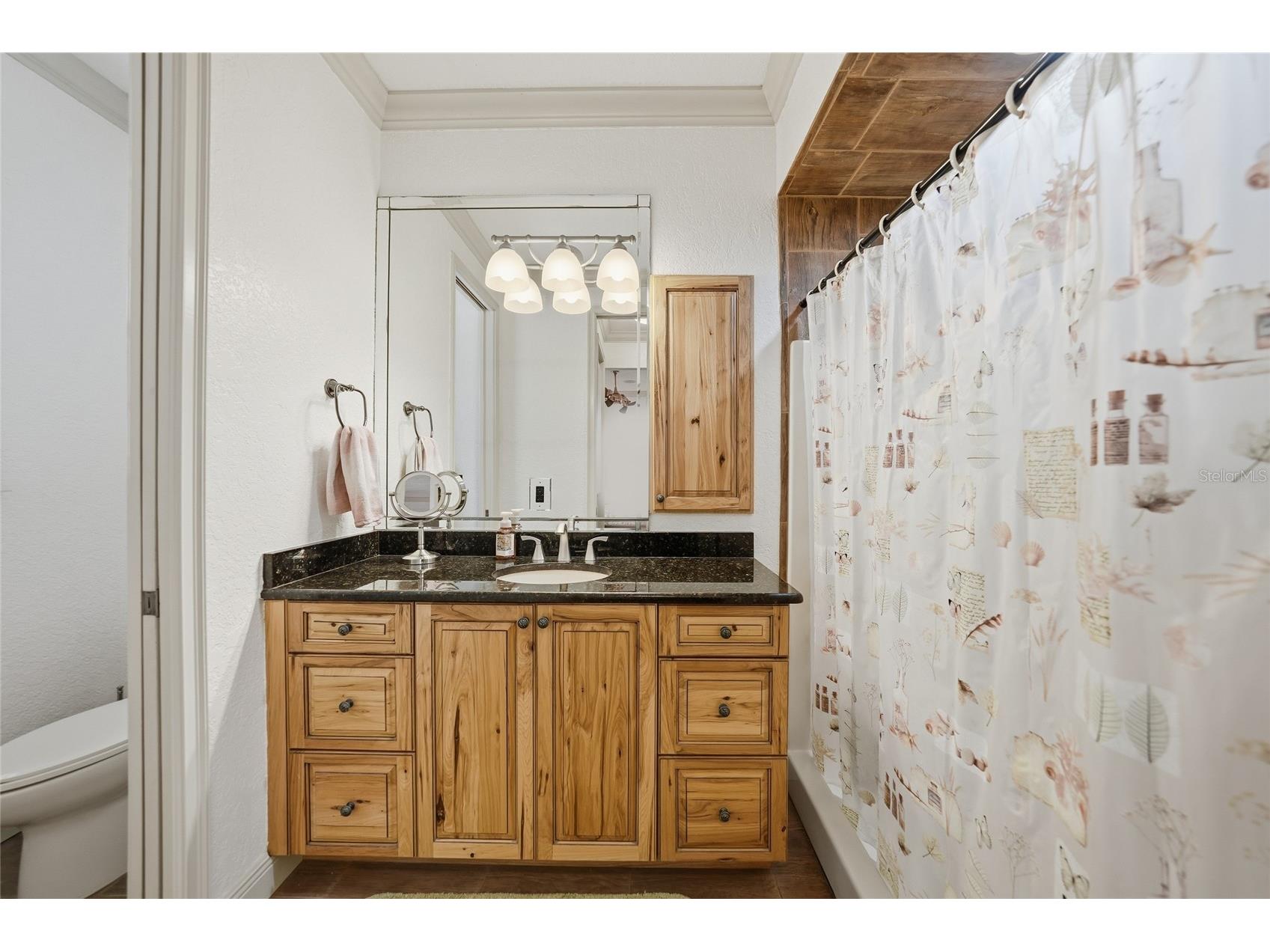 24257 Harborview Road Port Charlotte FL 33980 - PEACE RIVER C7521614 image16