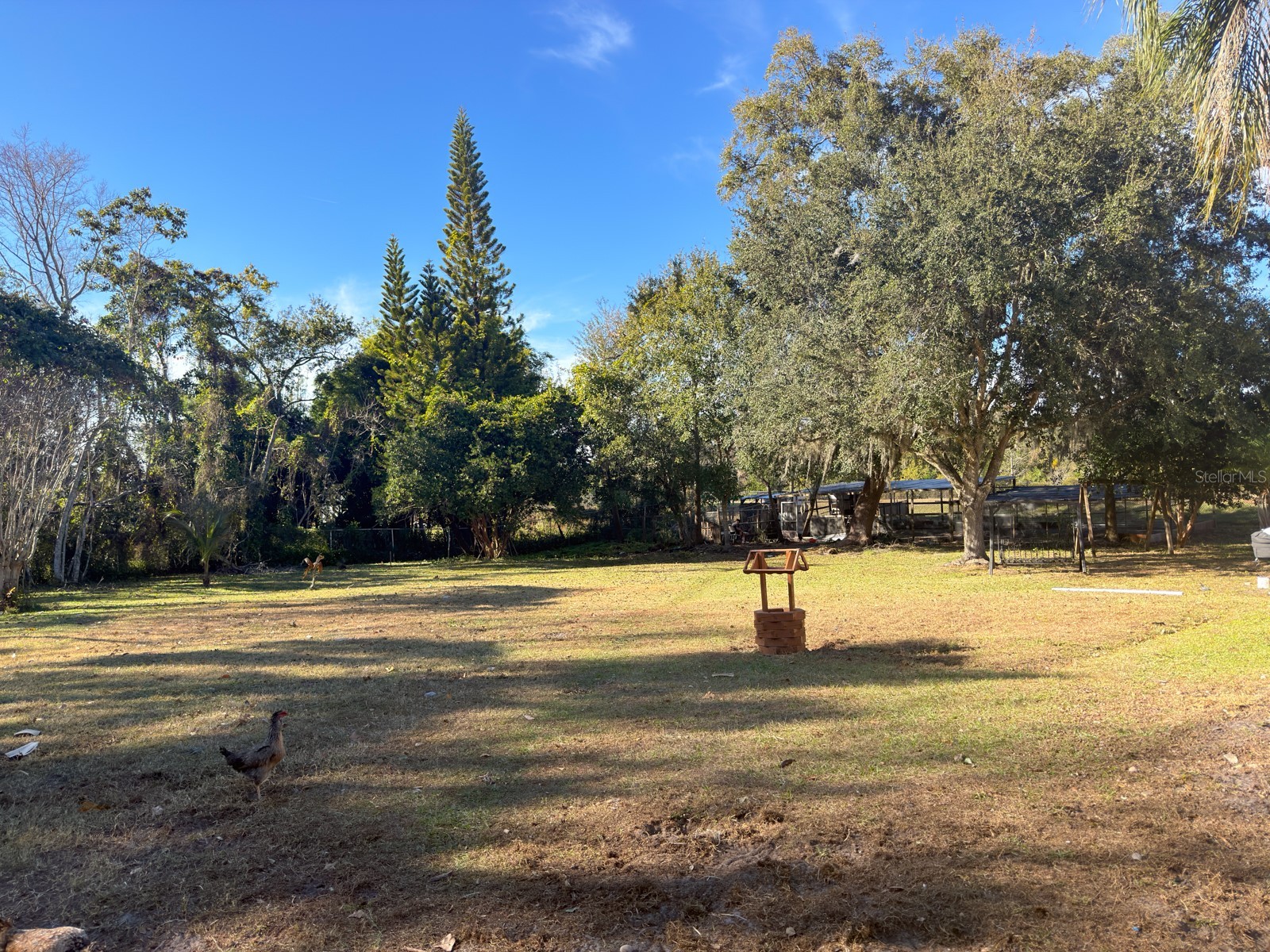 2426 Gresham Drive Orlando FL 32807 O6376402 image24