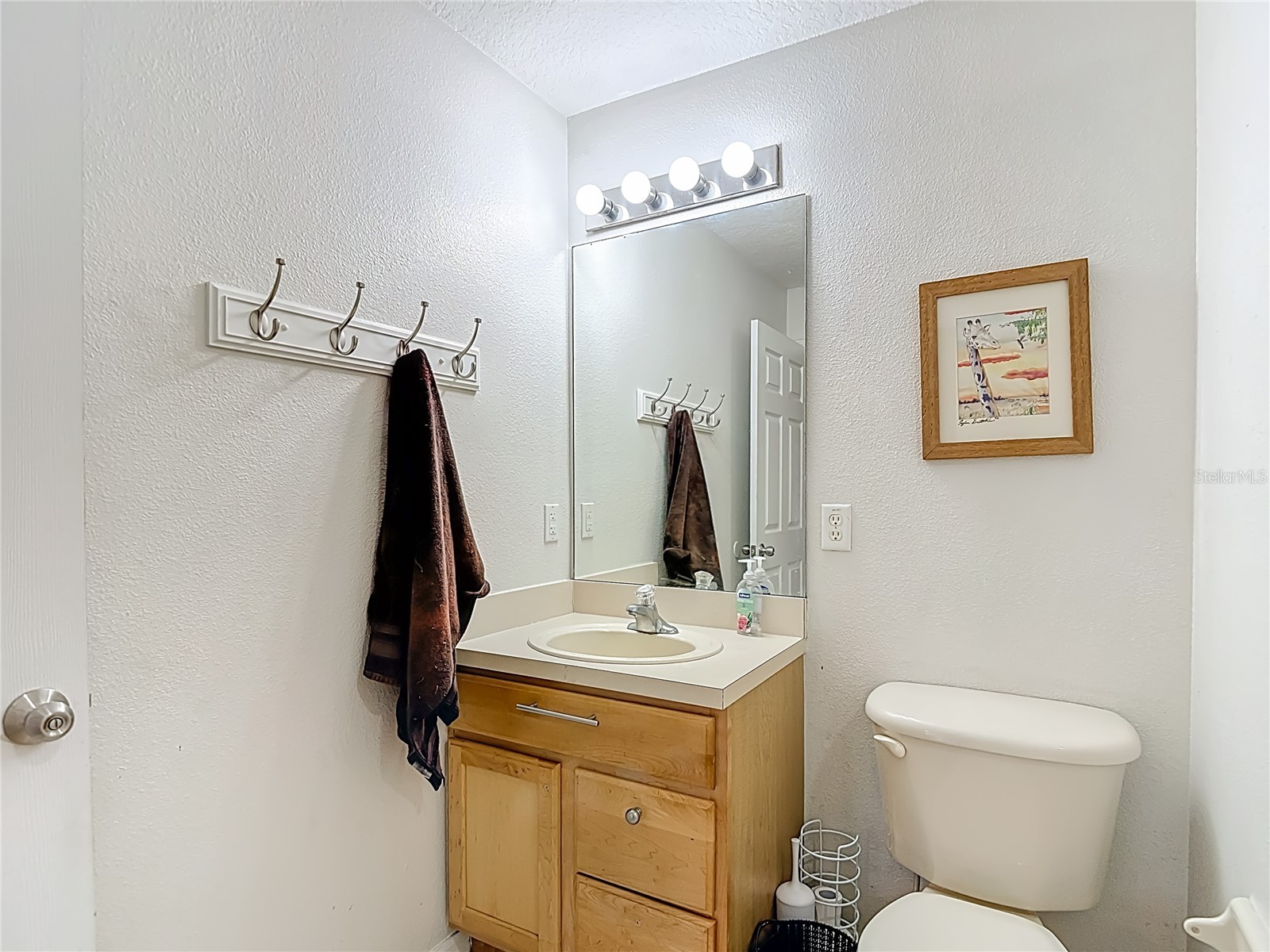2426 Middleton Grove Drive Brandon FL 33511 TB8464949 image18