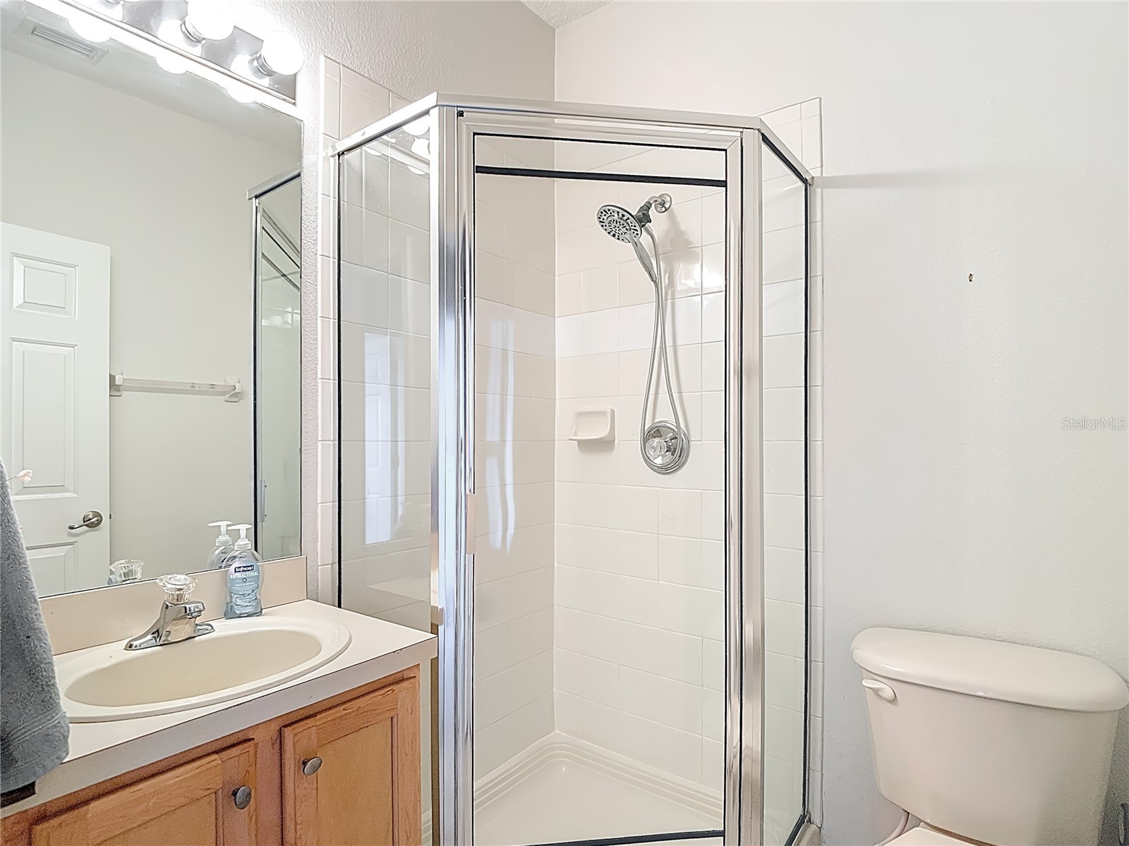 2426 Middleton Grove Drive Brandon FL 33511 TB8464949 image33
