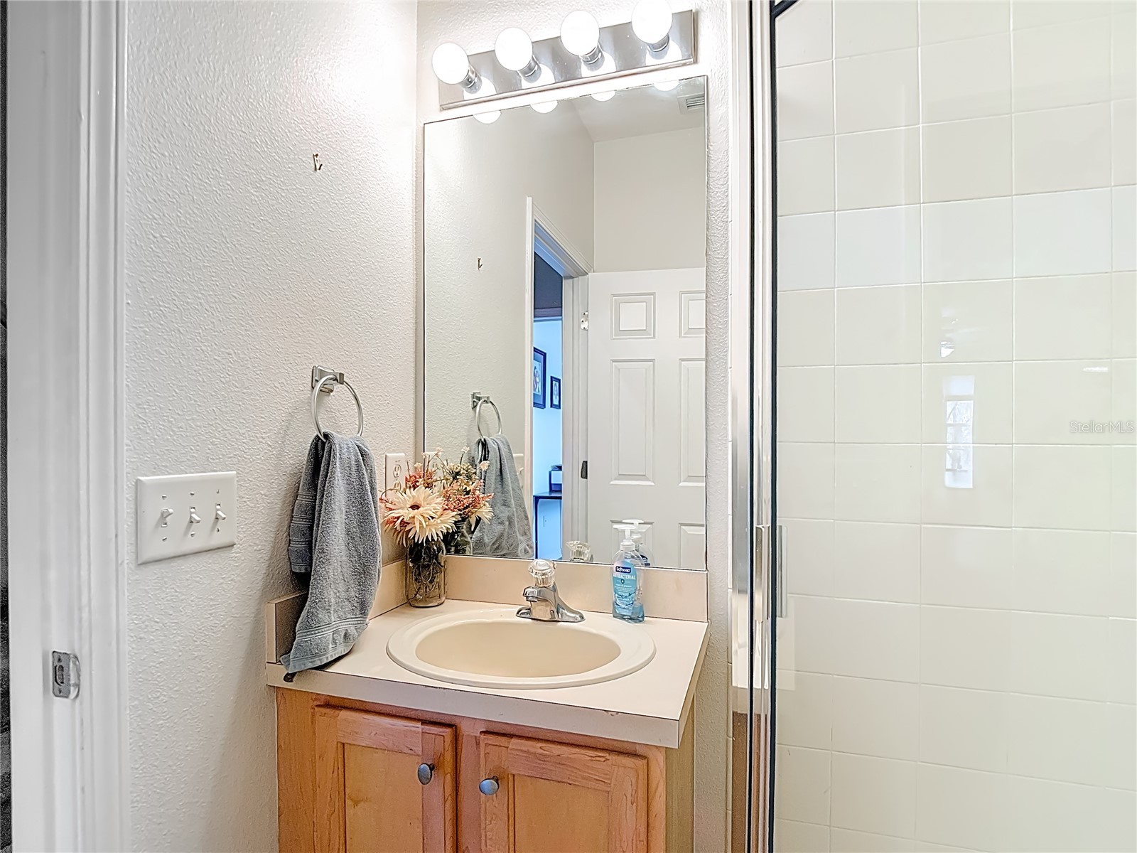 2426 Middleton Grove Drive Brandon FL 33511 TB8464949 image34