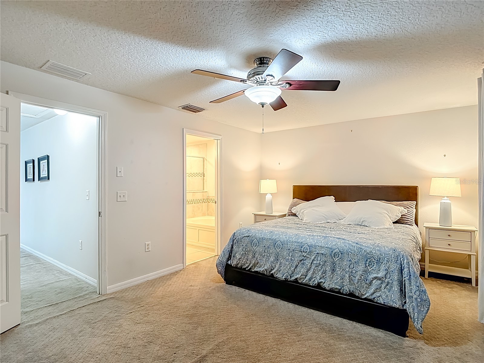 2426 Middleton Grove Drive Brandon FL 33511 TB8464949 image36