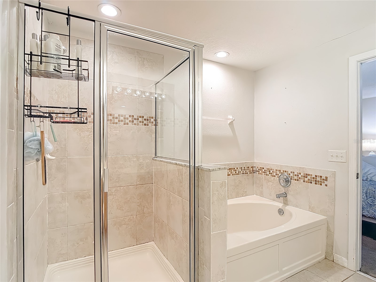 2426 Middleton Grove Drive Brandon FL 33511 TB8464949 image39