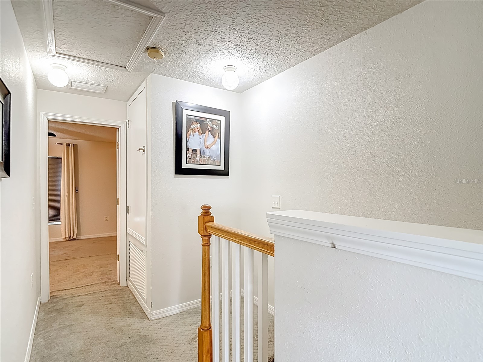 2426 Middleton Grove Drive Brandon FL 33511 TB8464949 image41