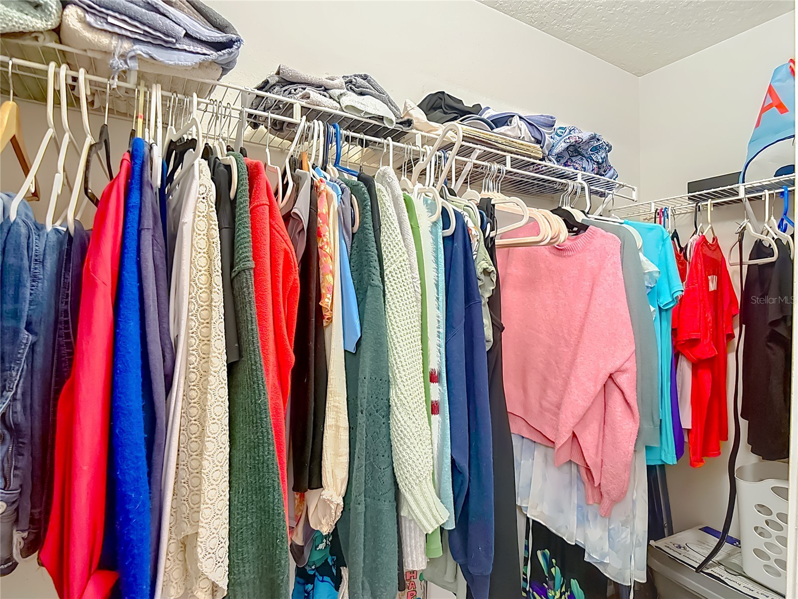 2426 Middleton Grove Drive Brandon FL 33511 TB8464949 image47
